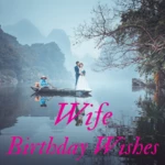 Logo of Wife Birthday Wishes android Application 